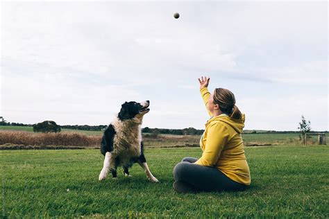 "Playing Catch With The Family Dog" by Stocksy Contributor "Robert Lang ...