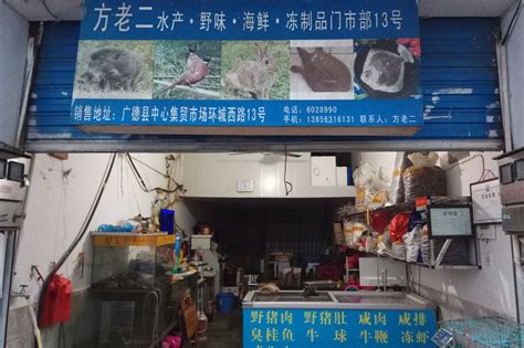 China Temporarily Bans Wildlife Trade In Wake Of Outbreak