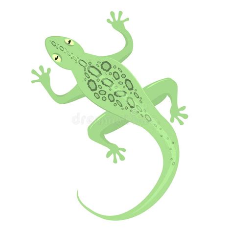 Illustration Vectorielle D un Lézard Vert Illustration de Vecteur