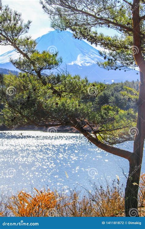 Winter Landscape With Mount Fuji Forest And Lake Nature Of Japan