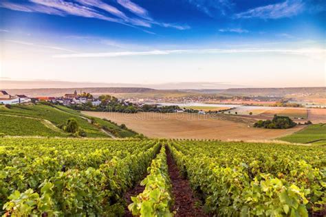 Champagne Region In France A Beautiful View Stock Image Image Of