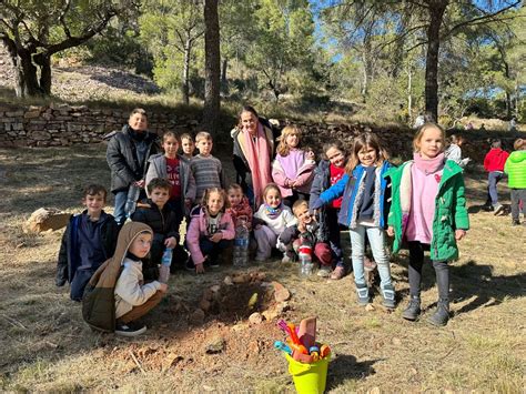 Dia de larbre CEIP DOMÍNGUEZ ROCA