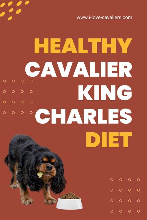 The Ultimate Cavalier King Charles Spaniel Feeding Guide Artofit