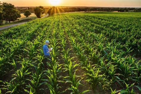 Tecnologia No Campo Saiba Como Ela Impacta A Sua Produtividade