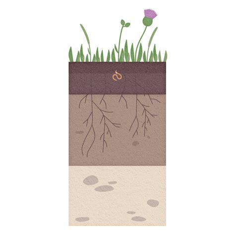 Soil parameters and abiotic factors - Biodiversity Monitoring South Tyrol