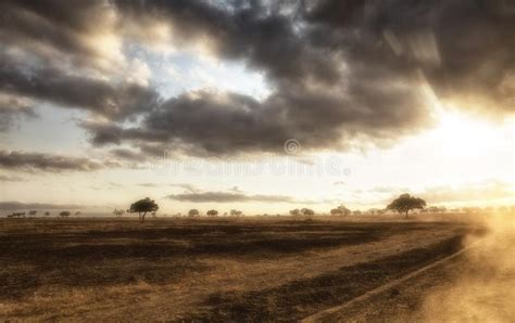African Grassland Stock Image Image Of Ecotourism Form 114323585