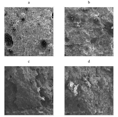 Microstructure (x500) of a modified cement stone at the age of 28 days ...