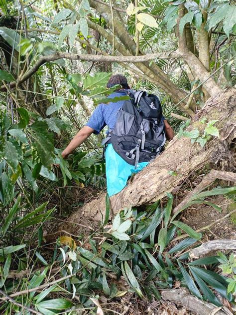 花蓮強震大同部落淪孤島 9居民今早脫困搭機下山 生活 中時