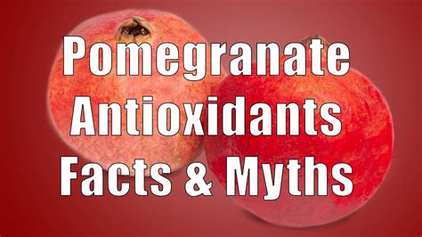 Pomegranate Antioxidant Facts And Myths 700 Calorie Meals Dituro Productions Youtube