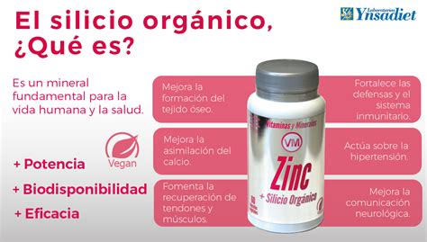 Zinc Silicio Org Nico La Soluci N A Tus Problemas Articulares