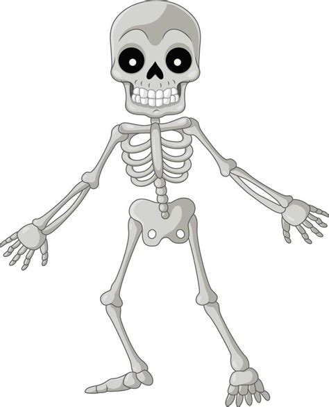 Cartoon Funny Skeleton On White Background 15219710 Vector Art At Vecteezy