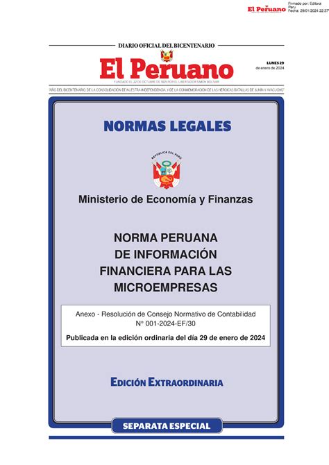 Norma Informacion Financiera Microempresas Separata Especial