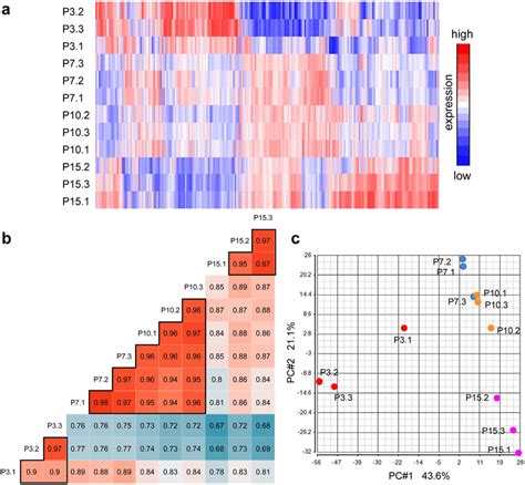 Correlations Between Samples A Protein Expression Profiles Depicted Download Scientific