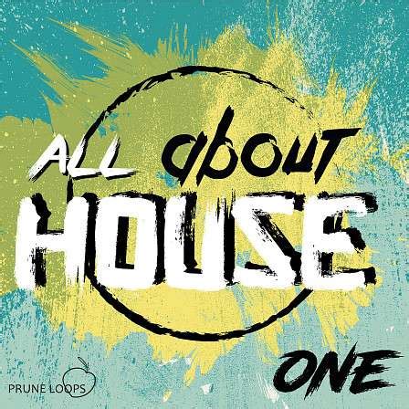 Big Fish Audio All About House Vol From Top Quality Vocals To Vst