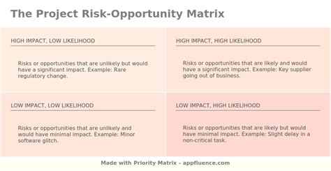 Project Risk Opportunity Matrix Free Download