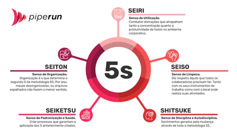 Metodologia 5s O Que é E Como Aplicar Nas Empresas Piperun