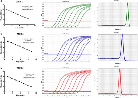 Frontiers A Multiplex SYBR Green Real Time PCR Assay For The