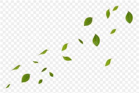 Floating Leaves Png Transparent Floating Leaves Float Leaves Tea