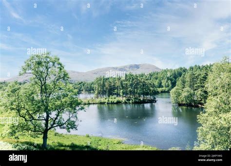 The Beautiful Landscape Around Tarn Hows In The Lake District Cumbria