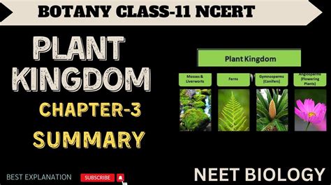 Class Biology Chapter Plant Kingdom I Ncert Explanation