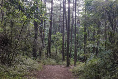 Eco Trail Camp John Hay Baguio City Benguet Philippine Flickr