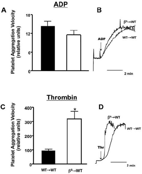 Comparison Of Adp Or Thrombin Induced Aggregation Responses Of