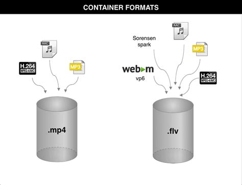 mkv  mp whats  difference