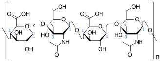 What Is Hyaluronic Acid And How Is It Used Harley Street Md