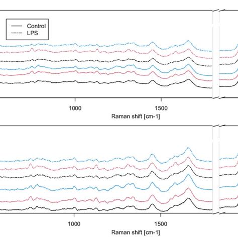 Figure S2 Representative Raman Spectra From Single Cells For Both Download Scientific Diagram