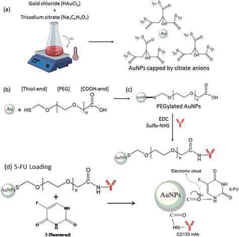 Schematic Illustration Of A Aunps Synthesis Via Chemical Reduction Of Download Scientific