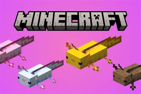 Minecraft Axolotl Taming Master The Art Of Domesticating These Aquatic Companions