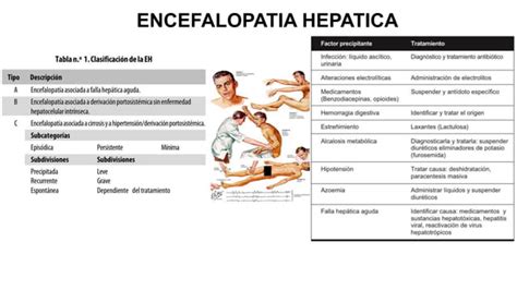 Encefalopatia Hepatica Y Peritonitis Bacteriana Espontanea Pptx