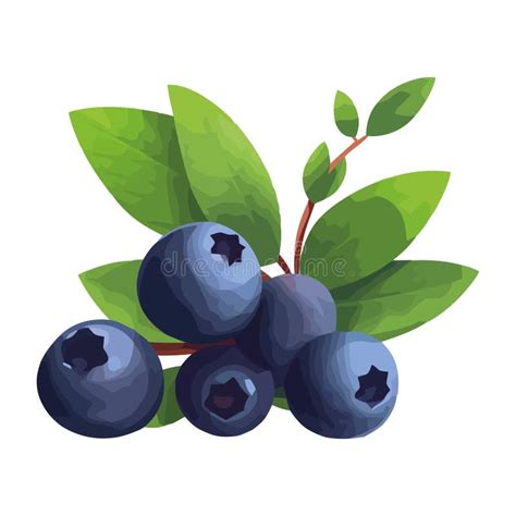 Freshness Of Nature Bounty Ripe Juicy Blueberry Stock Vector