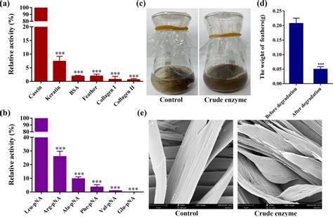 Substrate Specificity And Feather Degradation By Keratinase And