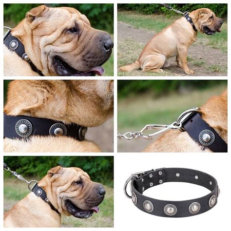 Collar De Cuero Negro Perro Sharpei Adornado Aut Ntica Joya Perros