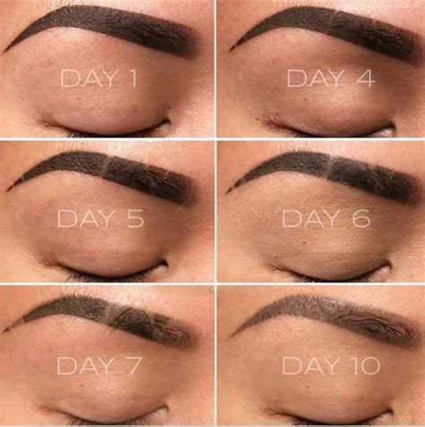 Microblading Healing Process What To Expect The Daily Glimmer