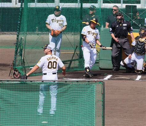 【阪神】いきなり157キロ！新外国人ゲラ来日初打撃投手「気持ちよく」岡田彰布監督は制球驚き プロ野球写真ニュース 日刊スポーツ