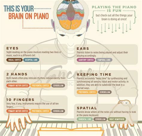 Classical Music In Incredible Infographics Classic Fm