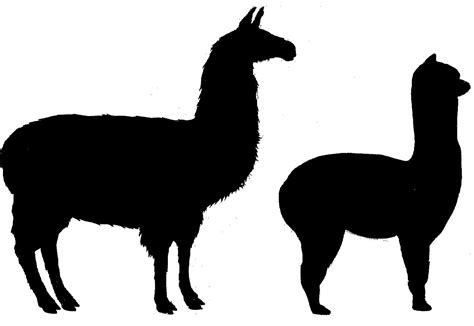 Llama Silhouette Clipart Best