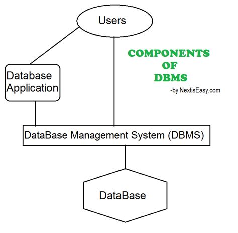 Components Of Dbms With Diagram Structure Of Dbms