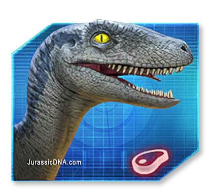 Velociraptor Blue 1 Of 3 Scan Code DNA Scan Codes For The Jurassic