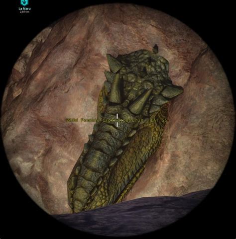 Wall Giga Rark