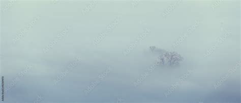 Early foggy morning over the outskirts of the city. Dense fog envelops ...