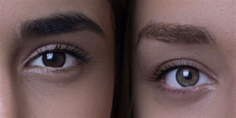 What Is Catchlight Photography How To Capture Eye Light