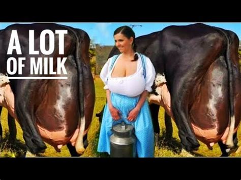 Highly Milking Biggest Udder Girlando Cow Breed 126 Litters Milk Per