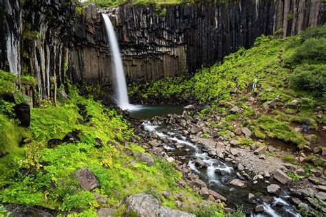 Svartifoss And Basalt Columns , Iceland by Gavriel Jecan