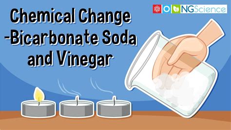 Chemical Change Bicarbonate Soda And Vinegar Youtube