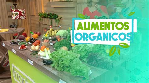 Conhe A Os Benef Cios Dos Alimentos Org Nicos Youtube