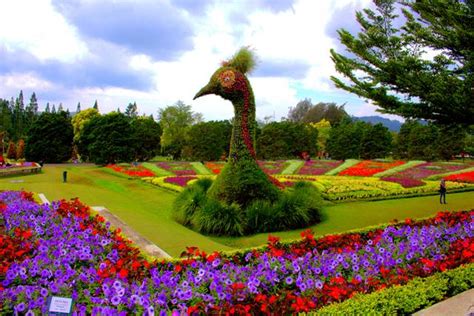 Mengenal Dua Tempat Wisata Di Bogor Decode