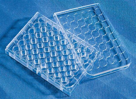 Corning® Cellbind® Multiple Well Plate Size 24 Wells Clear Bottom Flat